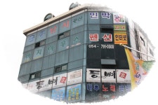 [울릉도-9부] 울릉도의 중심 도동에서의 맛자랑