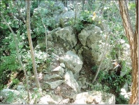 백두대간 - 백두대간(사다리재-백화산-황학산-이화령) 산행기<20차>