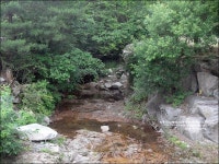 인제 가볼만한곳 야외 수영장이 있는 관광농원 펜션