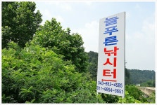 지평 > 지평의 물 나들이 [충주호 늘푸른 좌대 낚시터] : 낚시사랑