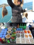 바다낚시 > 점주선장조황 > 도다리- 내일자리여유있습니다(안골해성호) 도다리 내일자리여유있습니다안골해성호
