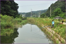 대경지부 7월정출 이모저모 :: 토종붕어를 사랑하는 사람들