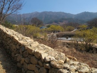 부산테마여행사