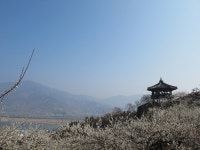 부산테마여행사