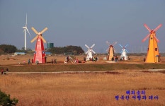 청춘불패촬영지, 대부바다향기테마파크 - 안산팸투어 후기(포스팅)... 수도권의 이국적 풍차가 시선을 끄는 청춘불패촬영지, 대부바다향기테마파크