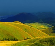 (사진구경) 봄의 아름다운 풍경 이미지 - 열린 방 - 부산 성동초등 동문카페 (사진구경) 봄의 아름다운 풍경 이미지