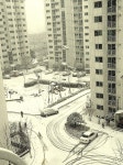 설경 - ─건강 웃음길 - 문학예술사이버대학 설경