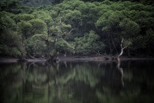 맛집 정보 검색 NO.1 사이트, 메뉴판닷컴 :: 맛집 정보가 가득