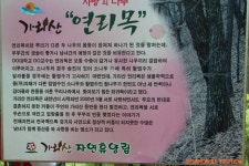 제95회 논고산악회 산행일지(강원도 홍천 가리산 / 13.05.25) - ♤ 산행일지 - 논고산악회 제95회 논고산악회 산행일지(강원도 홍천 가리산... 