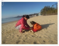 캠핑하는 사람들 Camping People | [보성율포오토캠핑장] 2012.12.21~22 - Daum 카페 [보성율포오토캠핑장] 2012.12.21~22