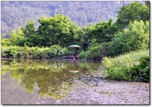 (사곡지)바람따라 구름따라 586회 :: 토종붕어를 사랑하는 사람들
