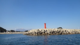 (東)동해조황 - 참가자미 3~4마리씩 올라오는 양양 수산항 엑스포호 조황입니다... 체험배낚시