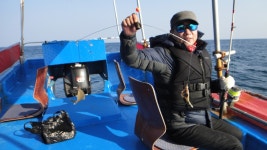 (東)동해조황 - 동해바다 맛난 세꼬시 참가자미 항상 많이 올라옵니다... 양양엑스포호