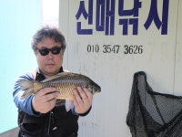 충주신매좌대낚시 유료낚시터 > 드디어 대물붕어가... : 낚시사랑