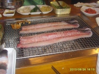 강서구에 위치한 장어 맛집 가르쳐주세요 :: 장어,강서구,등촌동 풍천 왕장어,장어가,죽전가 :: 맛집 정보 검색 NO.1 사이트, 메뉴판닷컴 :: 맛집... 
