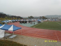 금산군 보기 > 자유게시판 > 열린게시판 > 소통참여 > 대표 대표