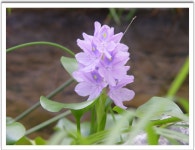 북한산 둘레길.1