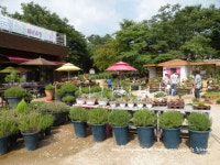 ★서울에서 가까운 허브랜드를 찾는다면...일영허브랜드로^^★ 1부입니다~~