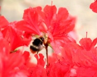 20번째 결혼기념일에 다시보는 성철스님의 주례사. - ━─‥좋은글♡감동글 - 평택시 명품 슈퍼오닝 ↔ 농·특산물 통합브랜드 20번째... 