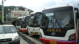 강원고속 양구->춘천 KIA 뉴그랜버드 선샤인 外 - 버스 갤러리