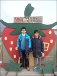 양평 별내체험마을에서의 맛있는 딸기따기체험 & 돈까스,화단자,무차 만들기