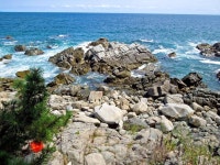 도보사진들 - 영덕 블루로드 B 구간 | 문학게시판