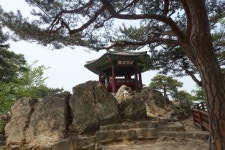 소담 엔카 | 부여 부소산성, 낙화암, 고란사 - Daum 카페 부여 부소산성, 낙화암, 고란사