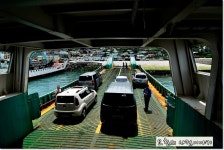 백야도~금오도,직포 [여수여행/금오도 비렁길] - Daum 카페 아름다운 명품 바닷길! 백야도~금오도,직포 [여수여행/금오도 비렁길]