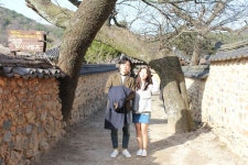 부산테마여행사