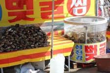 부산테마여행사