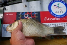 쉬리 > ◆쉬리의민물낚시여행-소류지를찾아서27[화보535번째]◆ : 낚시사랑