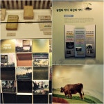 경기도 안성 추천여행 - 안성팜랜드 | 여행이야기 | 추천여행 | 경기관광플랫폼