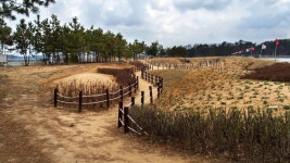 대전맑은샘산악회 | 제1차 정기산행 및 시산제(군산 청암산 트레킹) - Daum 카페 제1차 정기산행 및 시산제(군산 청암산 트레킹)