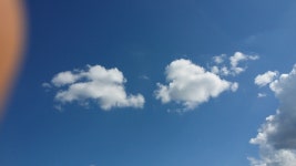 거북이좌대 유료낚시터 > 높고 파아란 하늘아래의 거북이낚시터 가을붕어. : 낚시사랑