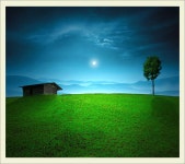 푸른 풍경 - 자유게시판