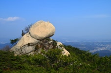 산행기 - 진달래 찾아 수락산으로...