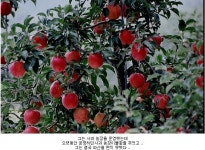 빚더미에서 몇천억 갑부되기까지.jpg (ㄷㅊㄷ 은 꼭봐라! 도움된다) - 성균관 스캔들 갤러리