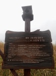 [가을여행] 서천 신성리 갈대밭을 걸으며, 모여야 살수 있는 것이 어디... [가을여행] 서천 신성리 갈대밭을 걸으며, 모여야 살수 있는 것이 어디... 