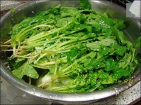 보리밥을 넣어 만든 아삭아삭 열무오이김치 - 10만개의 레시피, 메뉴판키친 요리판