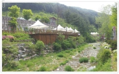 경기도 남양주 가볼만한곳 - 자연을 찾아 떠나는 여행. 야생화가 만발했던 산촌꽃마루 | 여행이야기 | 추천여행 | 경기관광플랫폼