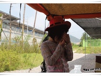 오투캠퍼 | [쾌청] 2년여만의 가족캠핑?? (08.9~11) 대성리 패밀리 오토캠핑장 - Daum 카페 [쾌청] 2년여만의 가족캠핑?? (08.9~11) 대성리... 