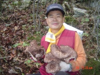 능이버섯 송이버섯 판매합니다 - 마을소식 - 녹동귀농마을 능이버섯 송이버섯 판매합니다