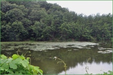 대경지부 8 월정출 이모저모 :: 토종붕어를 사랑하는 사람들