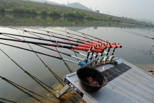 강원도원주에서...섬강줄기 :: 토종붕어를 사랑하는 사람들