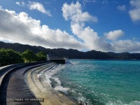 父島생활 8일: 고치소-벤또, 반건조 오징어, お盆祭り(축제) 음식, 기네스 | 음식 갤러리 | 루리웹 모바일