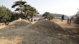 묘지 여행[경기 고양] 심희수 묘 - 광나루의 왕릉과 묘지여행 - 문화사랑 오솔길 묘지 여행[경기 고양] 심희수 묘