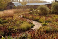 훗카이도 밀레니엄 숲