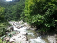 화천 비수구미 마을 트레킹(해산령터널-비수구미계곡 임도-비수구미 왕복 12km,5시간 소요) 비수구미 민박- 비빔밥 - 뽐뿌:등산포럼 화천... 