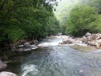 화천 비수구미 마을 트레킹(해산령터널-비수구미계곡 임도-비수구미 왕복 12km,5시간 소요) 비수구미 민박- 비빔밥 - 뽐뿌:등산포럼 화천... 