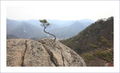 산행기 - _ _ _ 도락산..